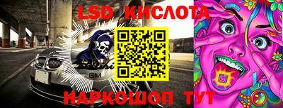 крисы Новозыбков