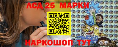 крисы Новозыбков