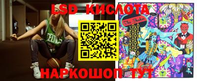 крисы Новозыбков