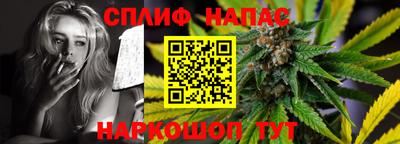 крисы Новозыбков