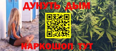 крисы Новозыбков