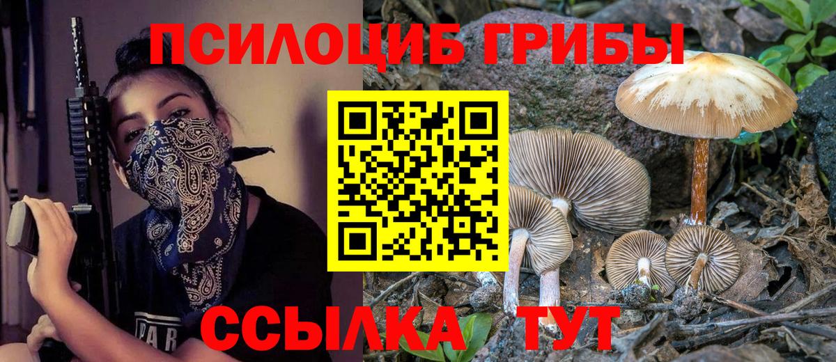Галлюциногенные грибы Psilocybe Нягань