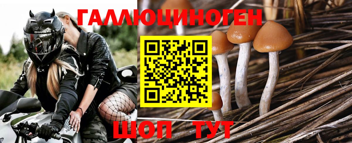 Нягань  Галлюциногенные грибы прущие грибы  Псилоцибиновые грибы Psilocybine cubensis  Вход с VPN 
